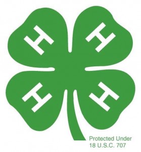 4H Clover Logo