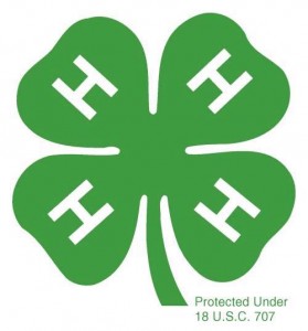 4-H Logo