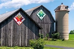 Barns with Quilt Squares