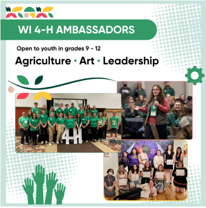 Wi 4-H Ambassadors flyer and link
