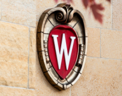 UW Madison symbol "W"